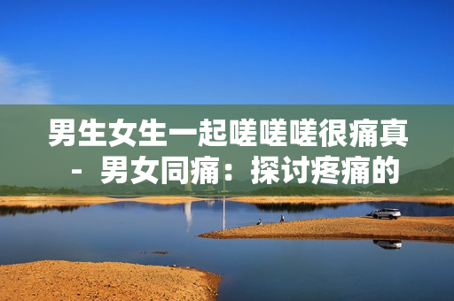 男生女生一起嗟嗟嗟很痛真  -  男女同痛：探討疼痛的真相