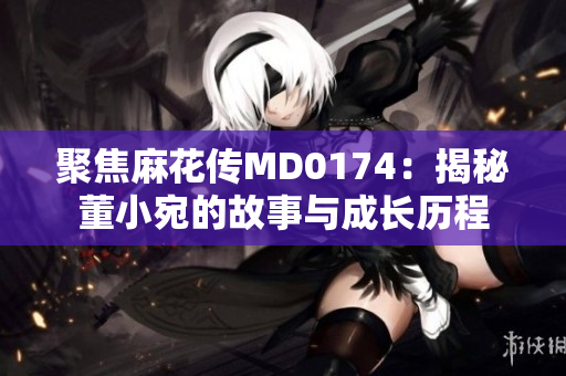 聚焦麻花傳MD0174：揭秘董小宛的故事與成長(zhǎng)歷程
