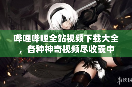 嗶哩嗶哩全站視頻下載大全，各種神奇視頻盡收囊中