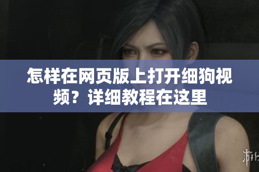 怎樣在網頁版上打開細狗視頻？詳細教程在這里