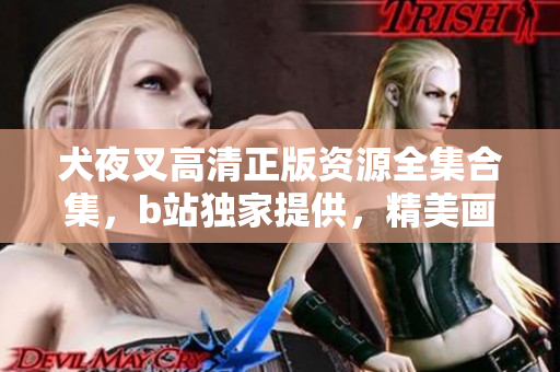 犬夜叉高清正版資源全集合集，b站獨(dú)家提供，精美畫(huà)質(zhì)帶你重溫經(jīng)典。