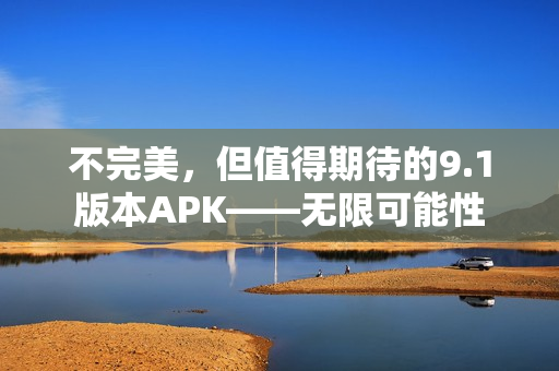 不完美，但值得期待的9.1版本APK——無限可能性
