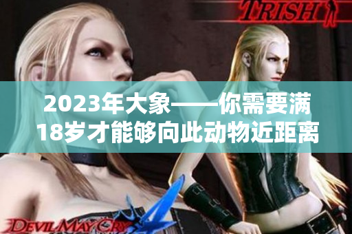 2023年大象——你需要滿18歲才能夠向此動(dòng)物近距離接觸