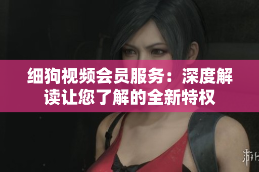 細狗視頻會員服務：深度解讀讓您了解的全新特權(quán)