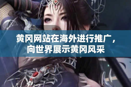 黃岡網(wǎng)站在海外進行推廣，向世界展示黃岡風(fēng)采