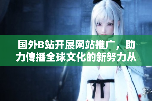 國外B站開展網(wǎng)站推廣，助力傳播全球文化的新努力從“熱度兼收”開始