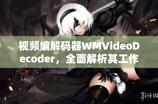 視頻編解碼器WMVideoDecoder，全面解析其工作原理及應用領域