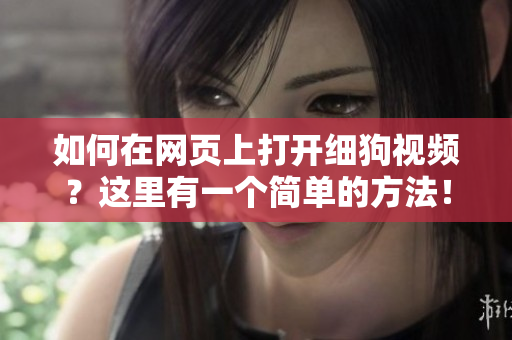 如何在網(wǎng)頁(yè)上打開細(xì)狗視頻？這里有一個(gè)簡(jiǎn)單的方法！