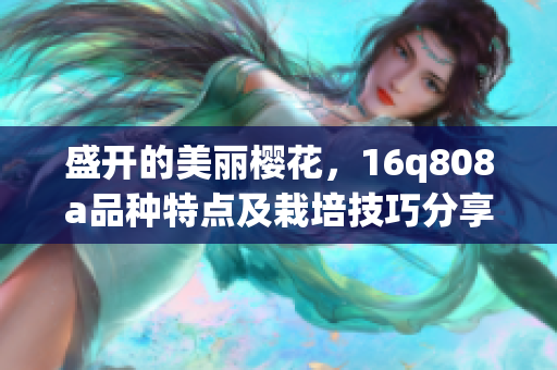 盛開的美麗櫻花，16q808a品種特點(diǎn)及栽培技巧分享
