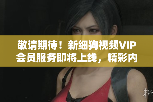 敬請期待！新細(xì)狗視頻VIP會員服務(wù)即將上線，精彩內(nèi)容盡收眼底
