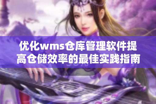 優(yōu)化wms倉(cāng)庫(kù)管理軟件提高倉(cāng)儲(chǔ)效率的最佳實(shí)踐指南